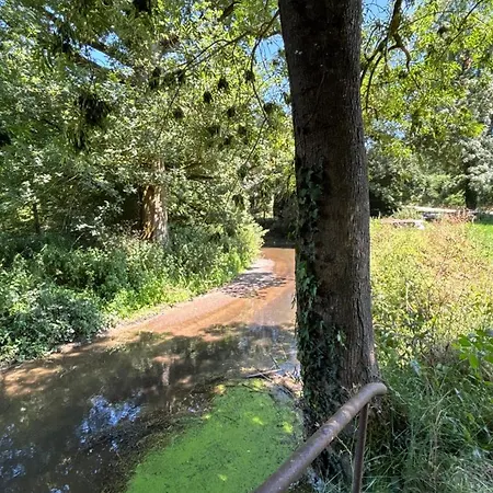 Le Logis Du Petit Lay ベッド・アンド・ブレックファスト 3*