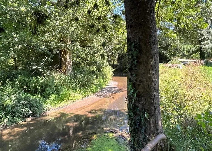 Le Logis Du Petit Lay Couette-café 3*